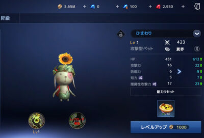 テラクラシックのペット画像