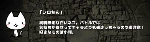 【ぼくとネコ】9
