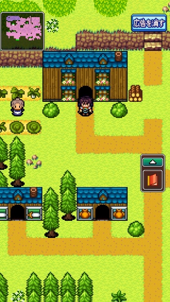 ドラゴンプラナ_サブクエスト16
