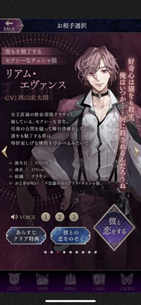 イケメンヴィラン闇夜にひらく悪の恋 リアム