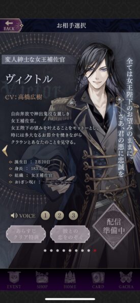 イケメンヴィラン闇夜にひらく悪の恋 ヴィクトル